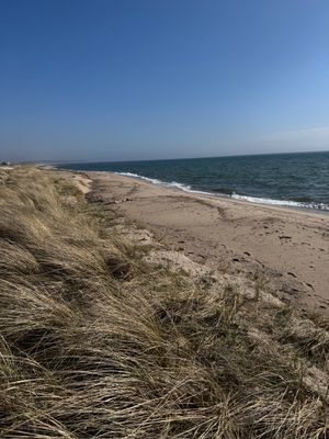 Stuga 100 m från havet i lugna Nybrostrand (Ystad) - Bild 16