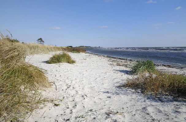Sommarhus med strandtomt i Böste vid sydkusten - Bild 15