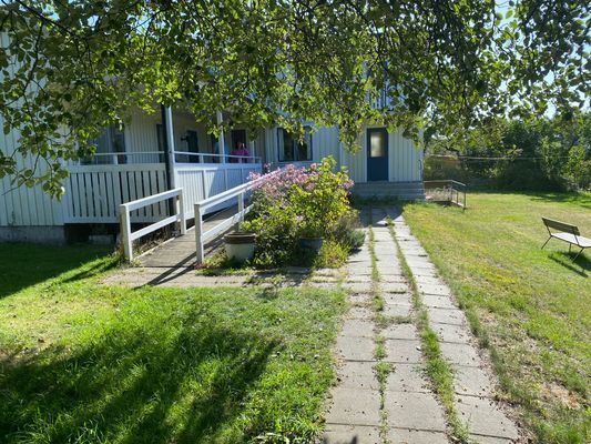 Bilder från trädgården