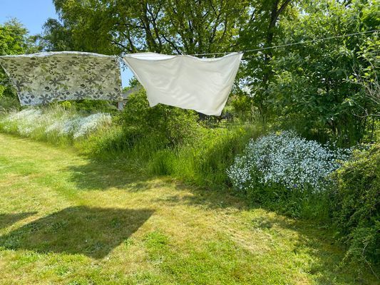 Charmigt hus nära havet