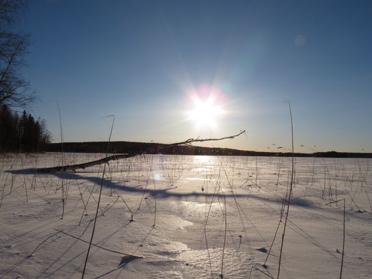 Här saktar tiden ner – din drömstuga vid vattnet - Bild 66