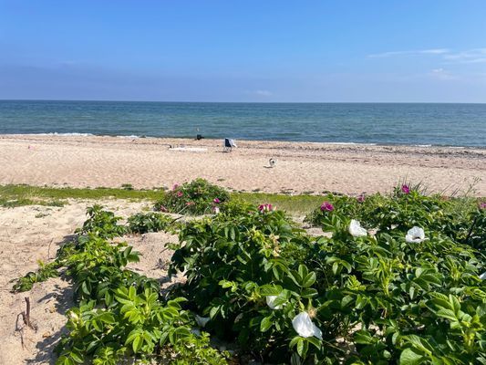 Stuga Öland Havsutsikt - Bild 28