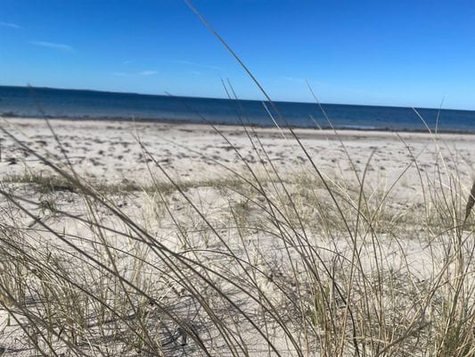 Kilometerlånga sandstränder i Viken