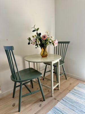 Stuga med trinettkök