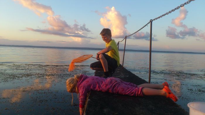 Bo på vår sparrisgård och upptäck Kullabygden! - Bild 10