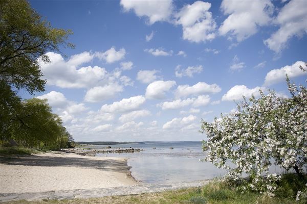 Hyr vårat fantastiska sommarboende i Kivik! - Bild 24
