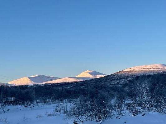 Jul i Tänndalen - Bild 8