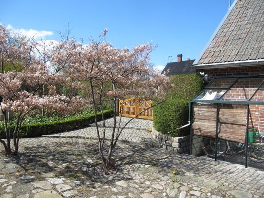 Lyxigt boende med havsutsikt i Brantevik. - Bild 11