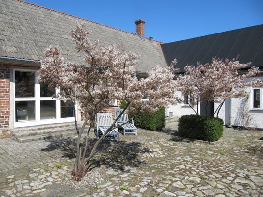 Lyxigt boende med havsutsikt i Brantevik. - Bild 12