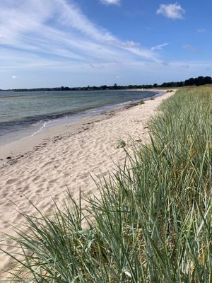 Sandbybadet
