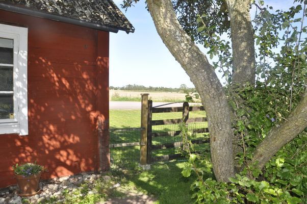 Lilla Valsnäs - Bild 10