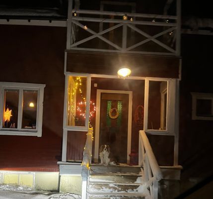 Naturskönt lugnt fint ställe, egen vedeldad bastu - Bild 37