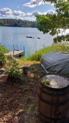 Mys i stuga  med fin natur vid sjö och skog - Bild 14