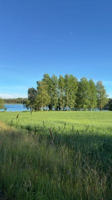 Mysig stuga med sjönära läge! - Bild 26