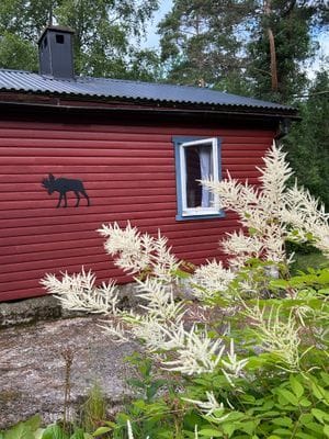 Hunters Hill, cosy private retreat in the forest