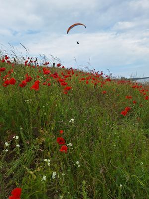 Stuga vid Hammars backar - Bild 11