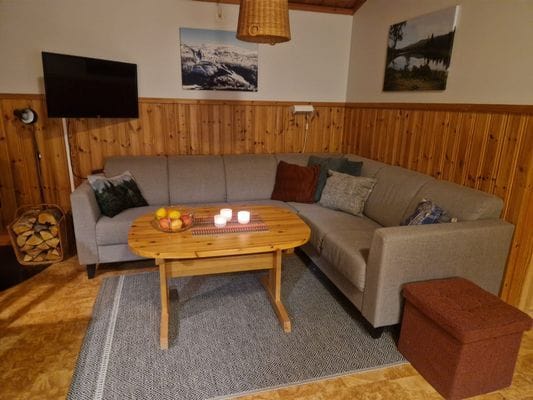 Låt bilen stå - Ski-in/Ski-out-stuga - Bild 6