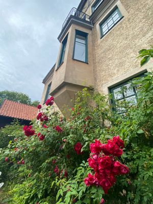 Pärla i Visby Innerstad - Bild 6