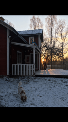 Skomakartorp från sekelskiftet. Enskilt läge - Bild 11