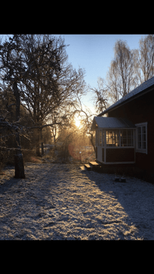 Skomakartorp från sekelskiftet. Enskilt läge - Bild 12