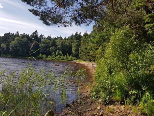 Charmig sommaridyll - Bild 17