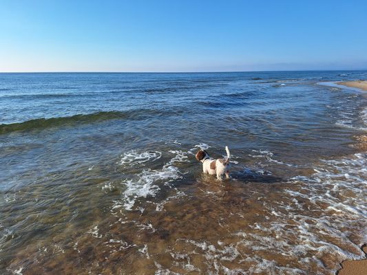 Fritidsstuga Yngsjöstrand - Bild 9