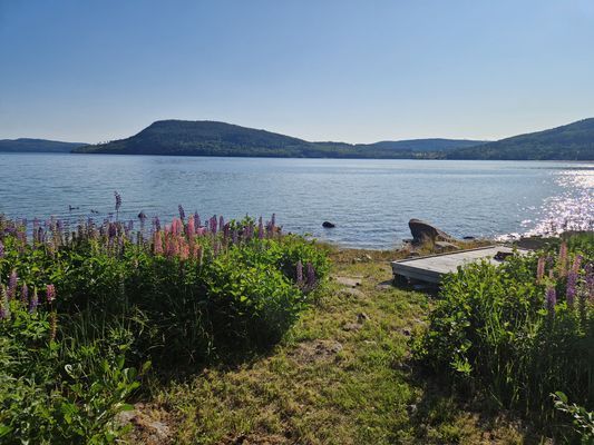 Trevlig timrad stuga vid havet i Höga kusten - Bild 27