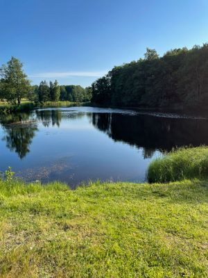 Mysigt torp i naturskön miljö, internet via fiber. - Bild 14
