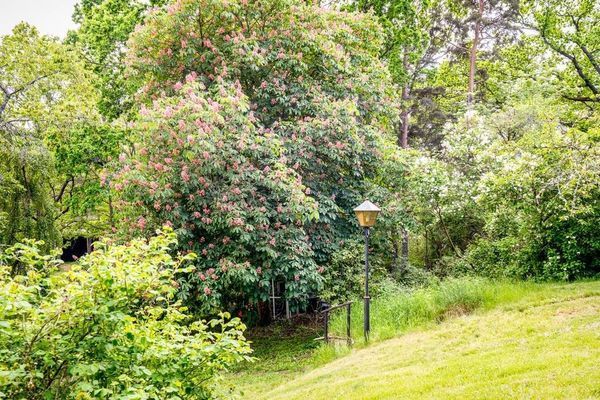 Modern och mysig stuga nära Arkösund skärgården - Bild 9