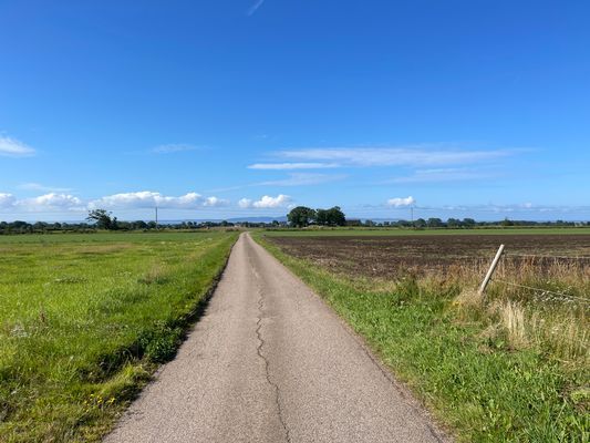 Mysig villalägenhet på härliga Bjärehalvön - Bild 17