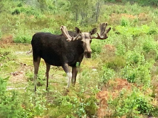 Unikt boende i ombyggd lada i Varekil | SE09063 - Bild 8