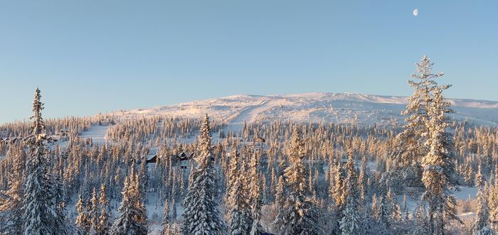 Hyr denna stuga i Storhogna på 180 m². 12 sängplatser. 10 000 - 27 000 kr per vecka. Se bilder och tillgänglighet här.