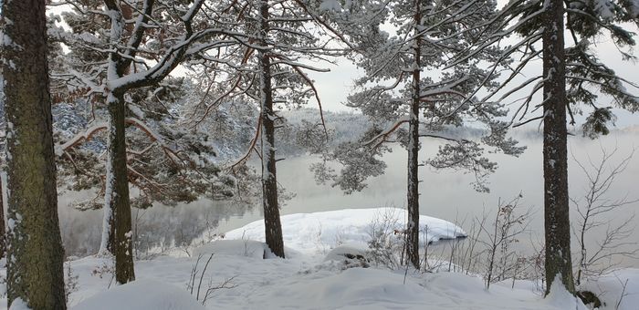 Utsikt från Bastun