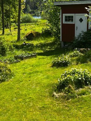 Underbar stuga nära skog, sjö och hav - Bild 27