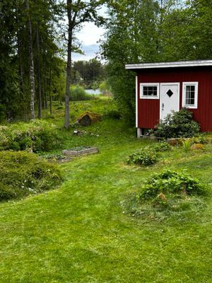 Underbar stuga nära skog, sjö och hav - Bild 24