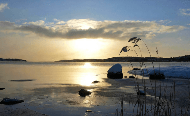 Välskött villa på Solsidans bästa läge - Bild 23