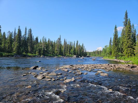 Bild 3 på Nybyggd timrat stuga i Juktådalen