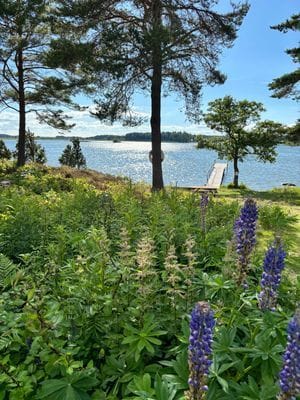 Mysigt hus i kyrkby nära Vänern - Bild 68