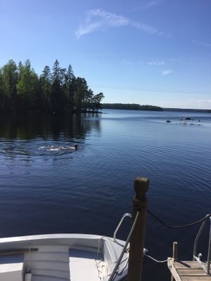 Emmesviken - Sjöstuga med egen vik, bastuflotte. - Bild 11