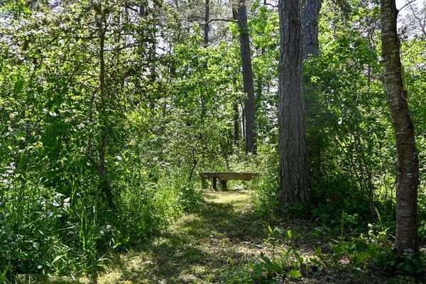 Sommarstuga i Byrum Sandvik, Löttorp, Norra Öland - Bild 33