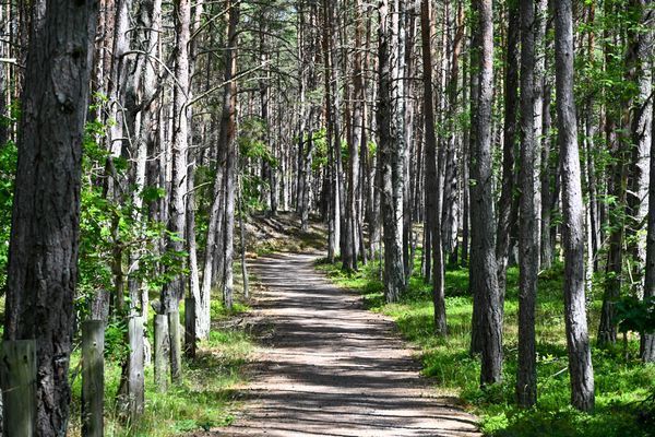 Sommarstuga i Byrum Sandvik, Löttorp, Norra Öland - Bild 31