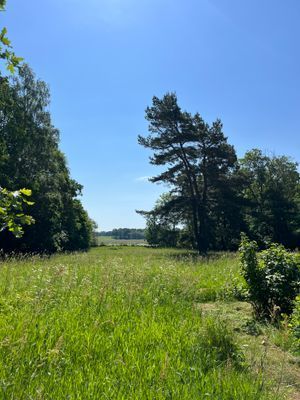 Mysig stuga i NV Skåne - Bild 24