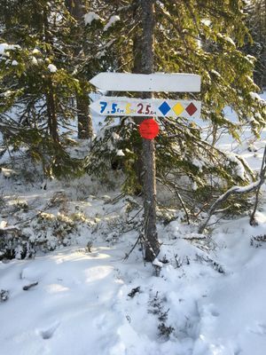 Näsfjället, Sälenfjällen - Bild 20