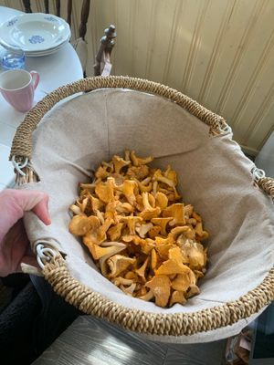 Konstnärshem från 1700-talet - Bild 12