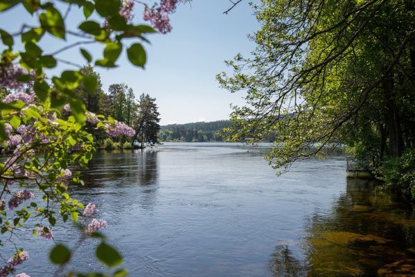 Boende vid Dalslands kanal - Bild 15