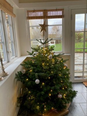 Charmigt boende i Ystad - Bild 24