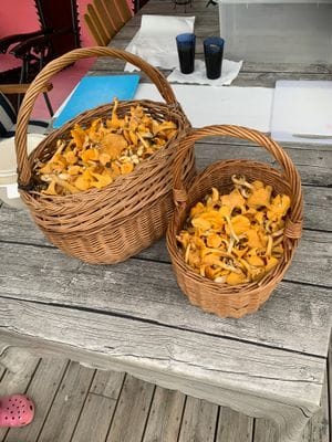 Stuga i Norra Dalsland - Bild 12