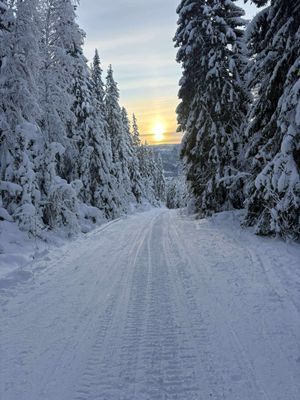 Transportled till Stugan