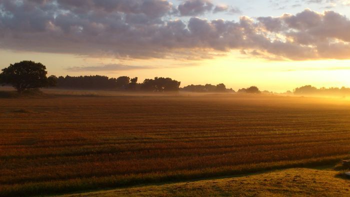 Bo på vår sparrisgård och upptäck Kullabygden! - Bild 9