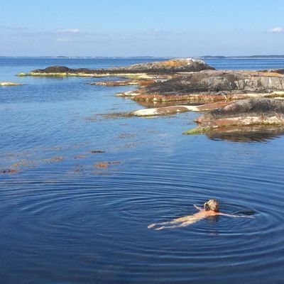 Litet hus på Landsort uthyres - Bild 19